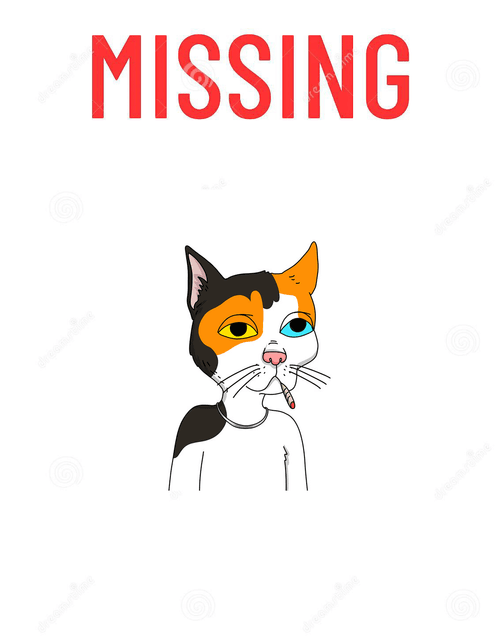 Missing Cat #2720