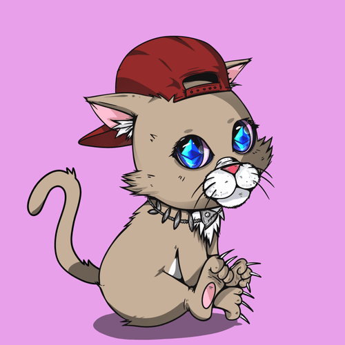 Kitten #567