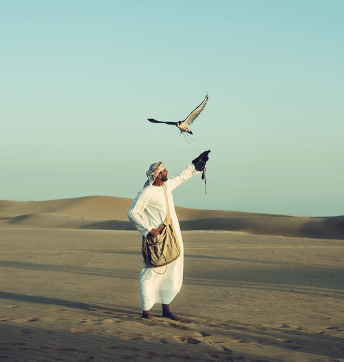 UAE First Immersion Airdrop - Monaris