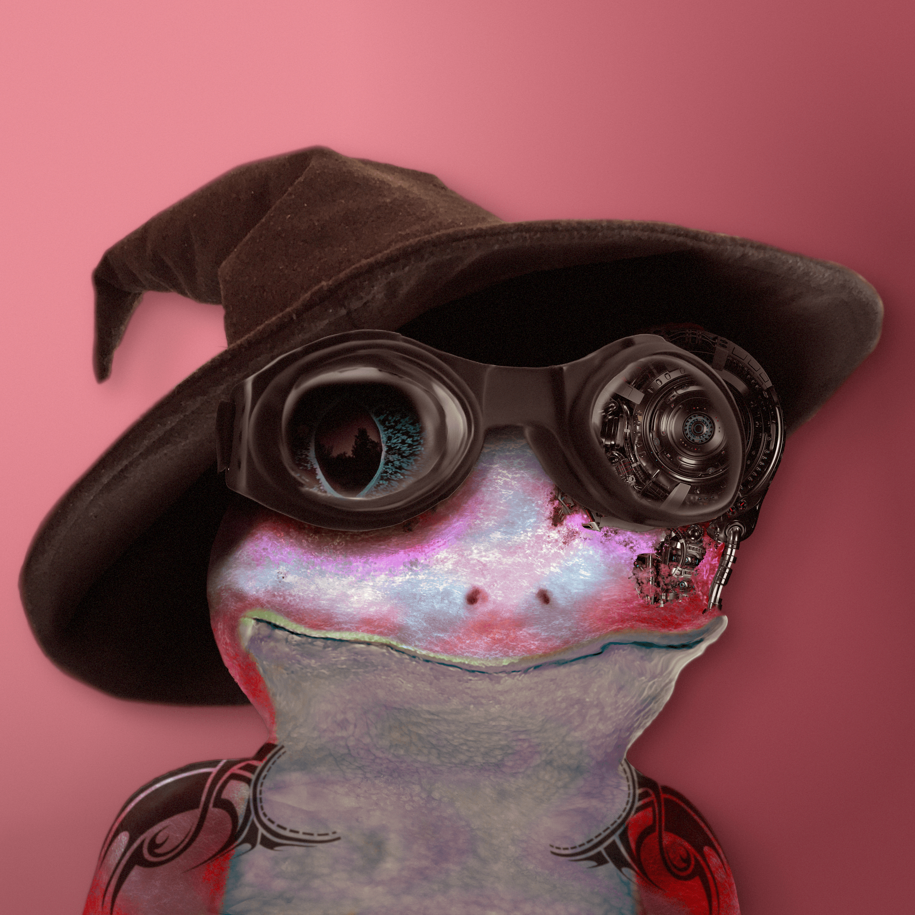 Notorious Frog #2816