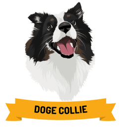 DogeCollie collection image