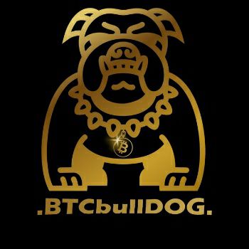 BTC-Bulldog NFT collection image