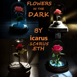 Flowers in the Dark collection image