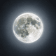 Moon addicted