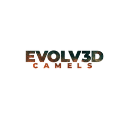 Evolved Camels collection image