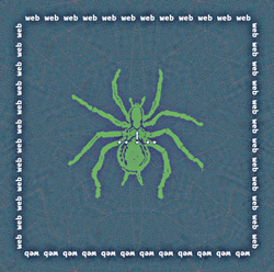 crystalbrain-web spider collection image