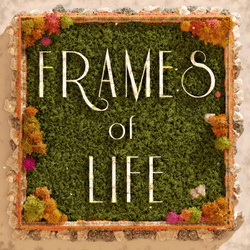 Frames of Lifes collection image