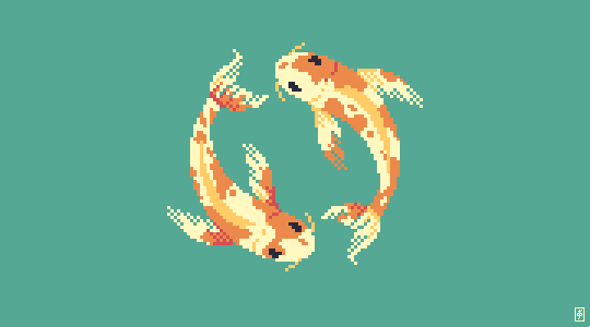 KOI POND