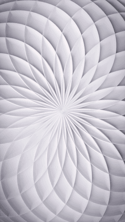 SYNTHETIC ORGANIC collection image
