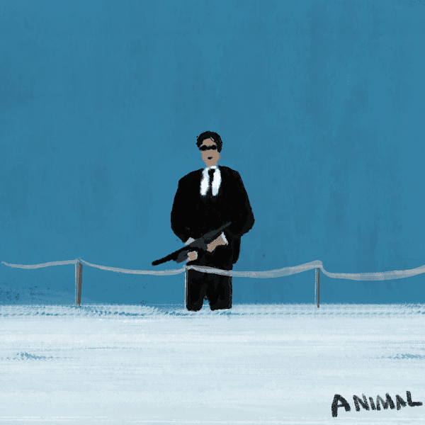 ANIMAL EDITIONS