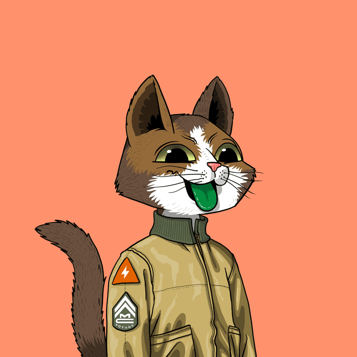 Mars Cats Voyage