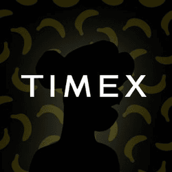 Timex x Bored Ape Community Watch Collection collection image