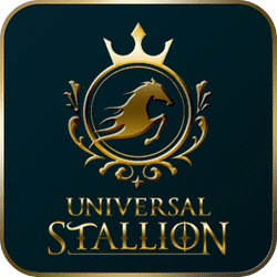 Universal Stallion Horse NFT - Collection | OpenSea