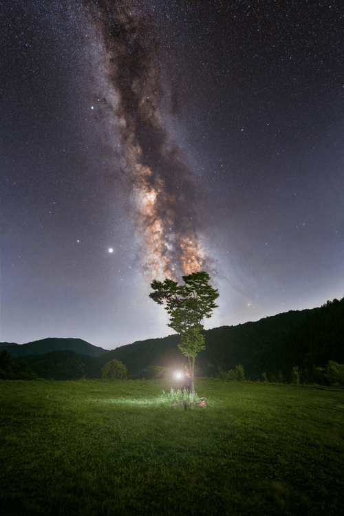 四 季 星　 Starry Night 