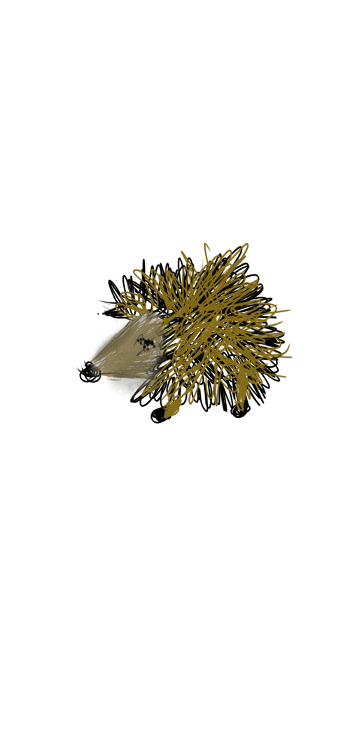 Hoggies 