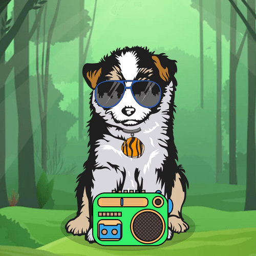 Australian Shepherds #9309