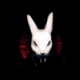 whoistherabbit