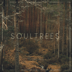 SOULTREES by Louis Iruela collection image