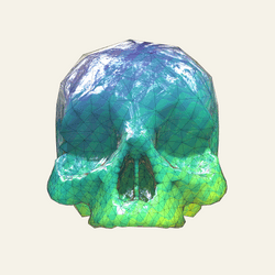 Bear Skulls collection image