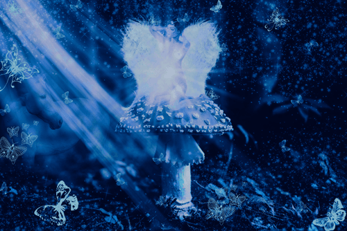 Butterfly Haven V3