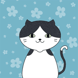 Kinoko.Cat-front collection image