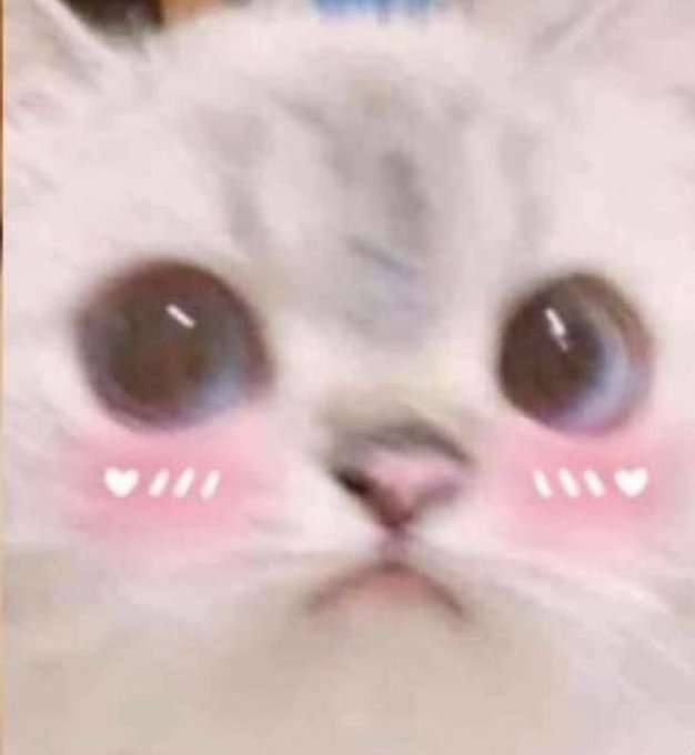 GhostKitty