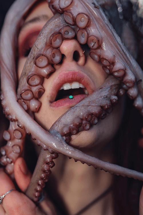 Octopus