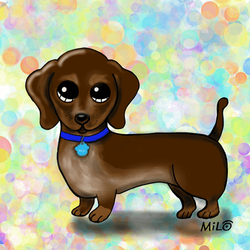Remembering My Best Friend Mojo