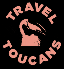 Travel Toucans collection image