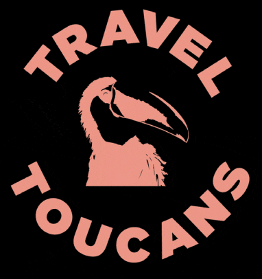 Travel Toucans