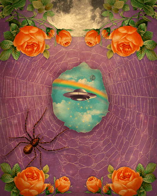Portal to a Parallel Universe