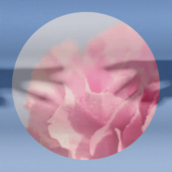 Interstellar Flower Delivery: Artefacts, Mission I