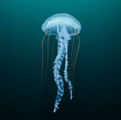 Jellyfish - Aquarium de Paris x Metaseum collection image