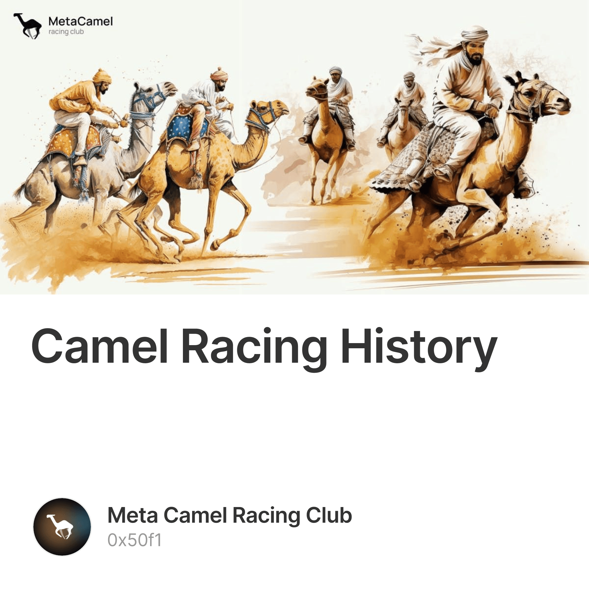 The Surprisingly Rich History Of The Camel Saddle - grf43w7