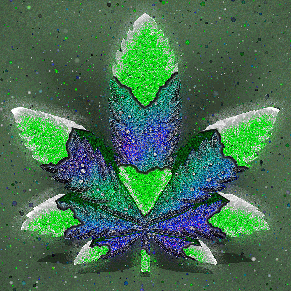 SUPREME Hybrids Cannabis