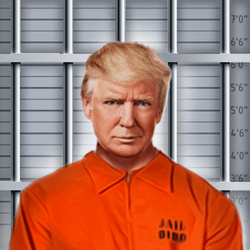 Trump Criminal Digital Cards collection image