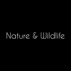 Nature - Wildlife collection image