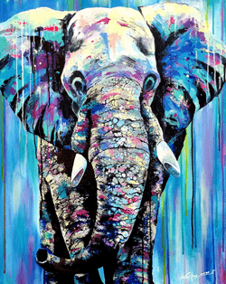 elephant - series collection image