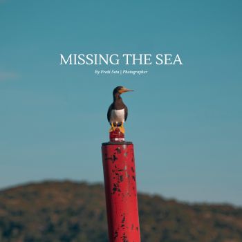 Missing The Sea collection image