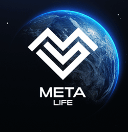 Meta-Life OG Armor collection image