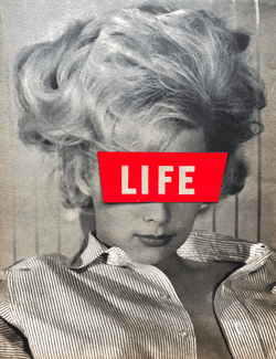 LIFE collection image