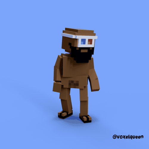 NakaVoxel #13469