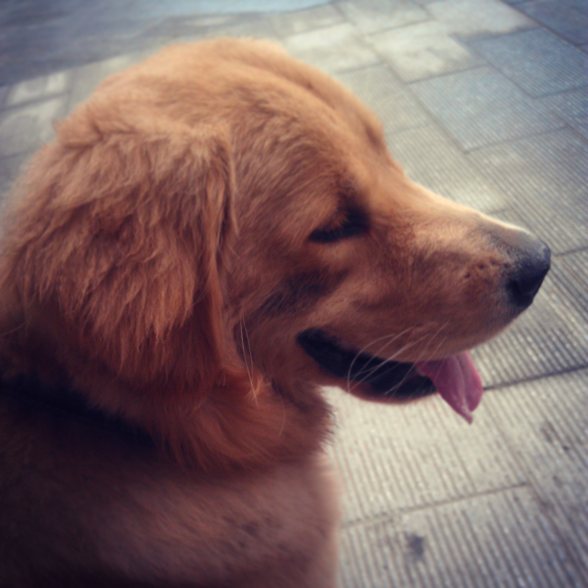 stans.eth Ethereum Name Service (ENS and .eth domain) PFP