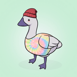 Honk #4343