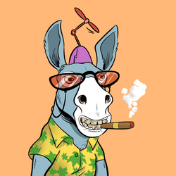 Bored Donkey Yacht Club BDYC collection image
