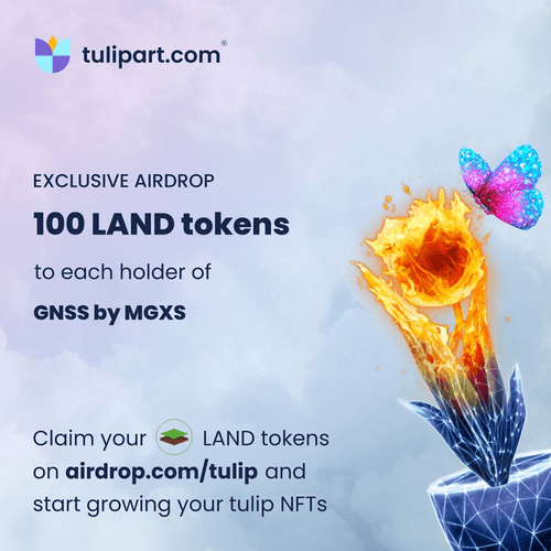 TulipArt Airdrop for GNSS by MGXS