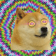 HYPNODOGE