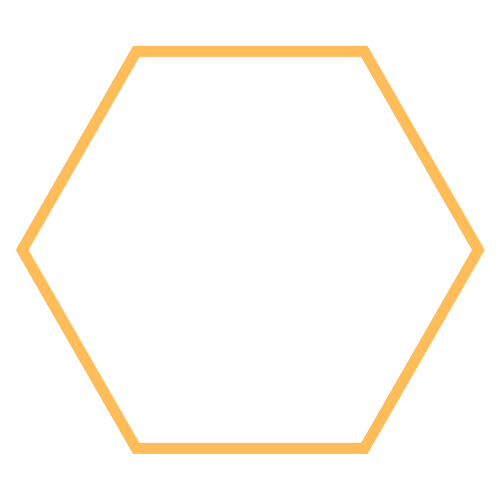 DIGIBEES