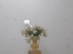 smoking-vase-1 by Petra Cortright collection image