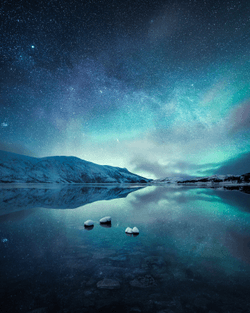Mikko Lagerstedt Editions collection image
